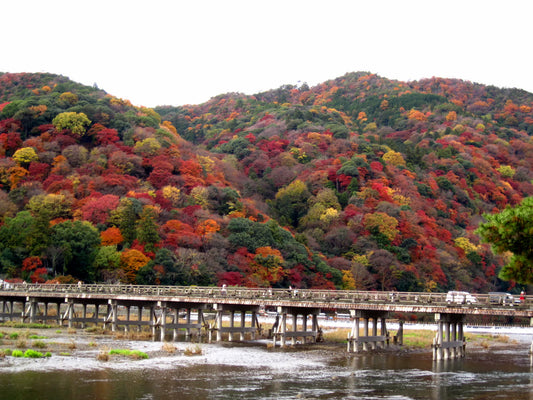 嵐山渡月橋為何是京都人的心血結晶