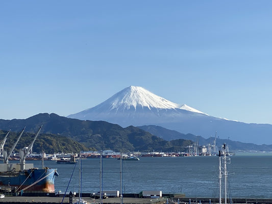 富士山山坡上凸出來的是甚麼